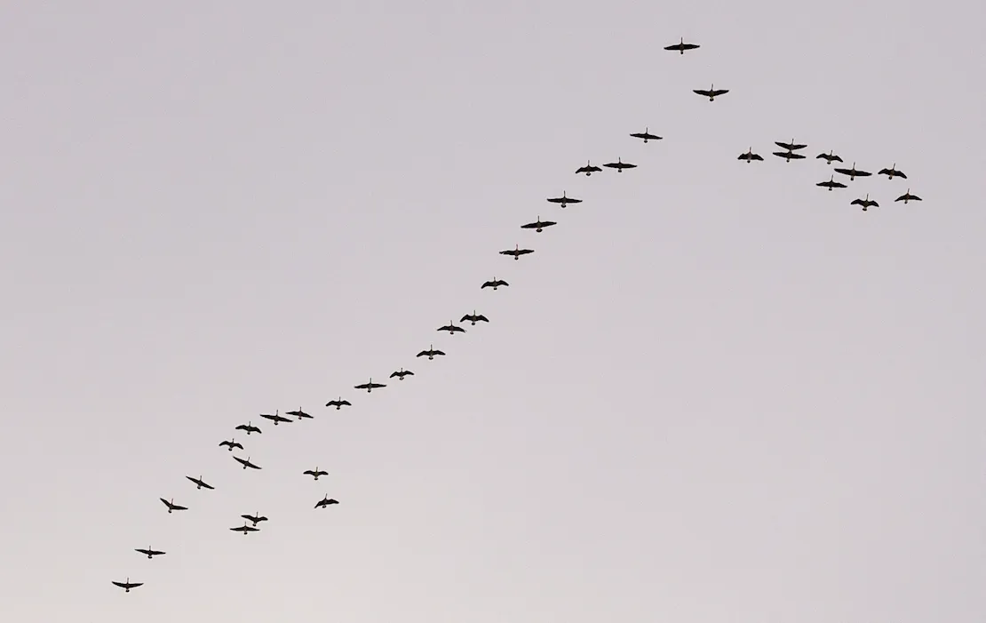 Migrate from CDK Pipelines to CDK Express Pipeline